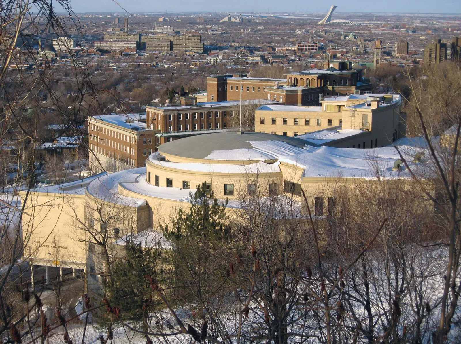 Section image