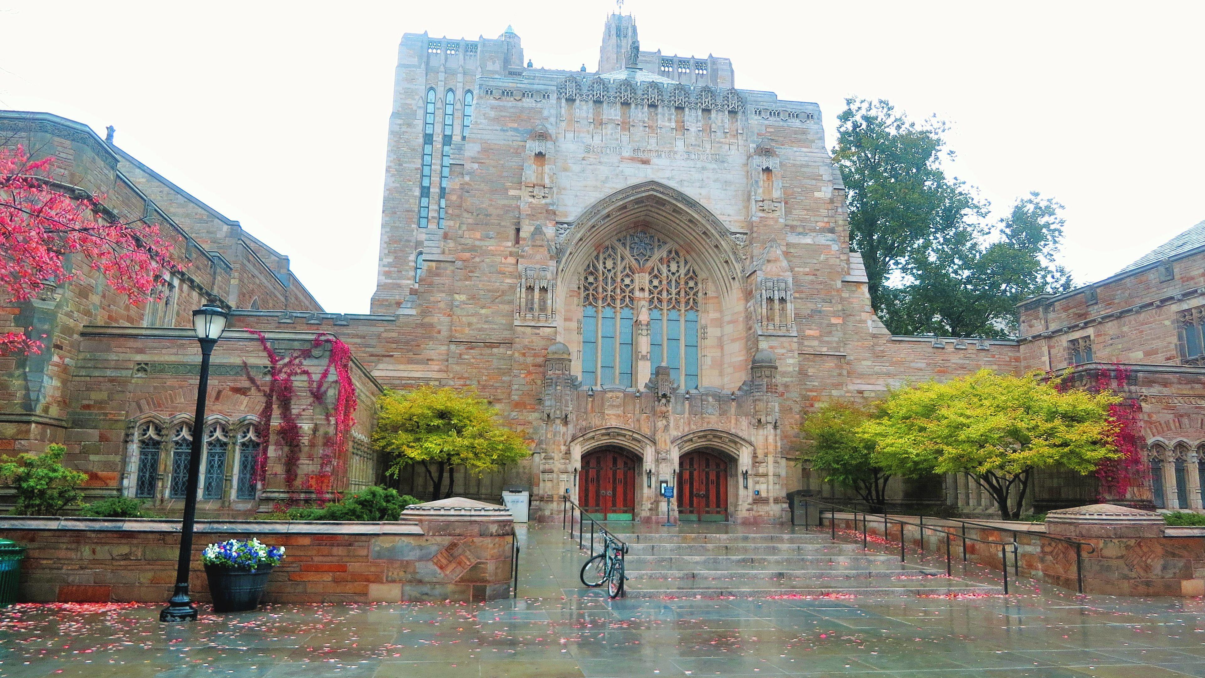 Section image