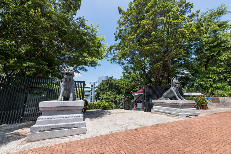 Section image