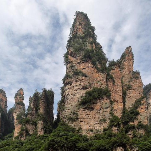 Section image