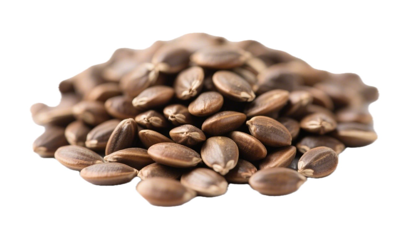 5-HTP