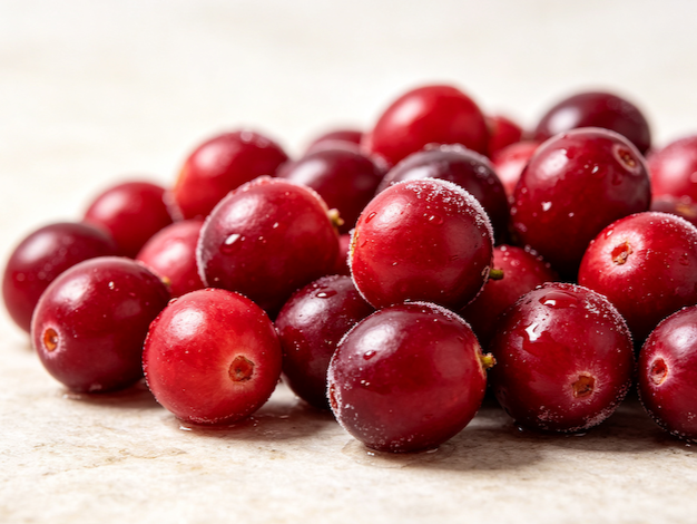Cranberry Extract powder, fssc22000 certificated