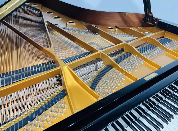 Kawai RX Series