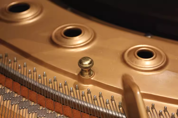 Kawai RX Series