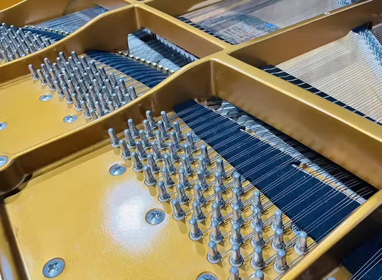 Kawai RX Series