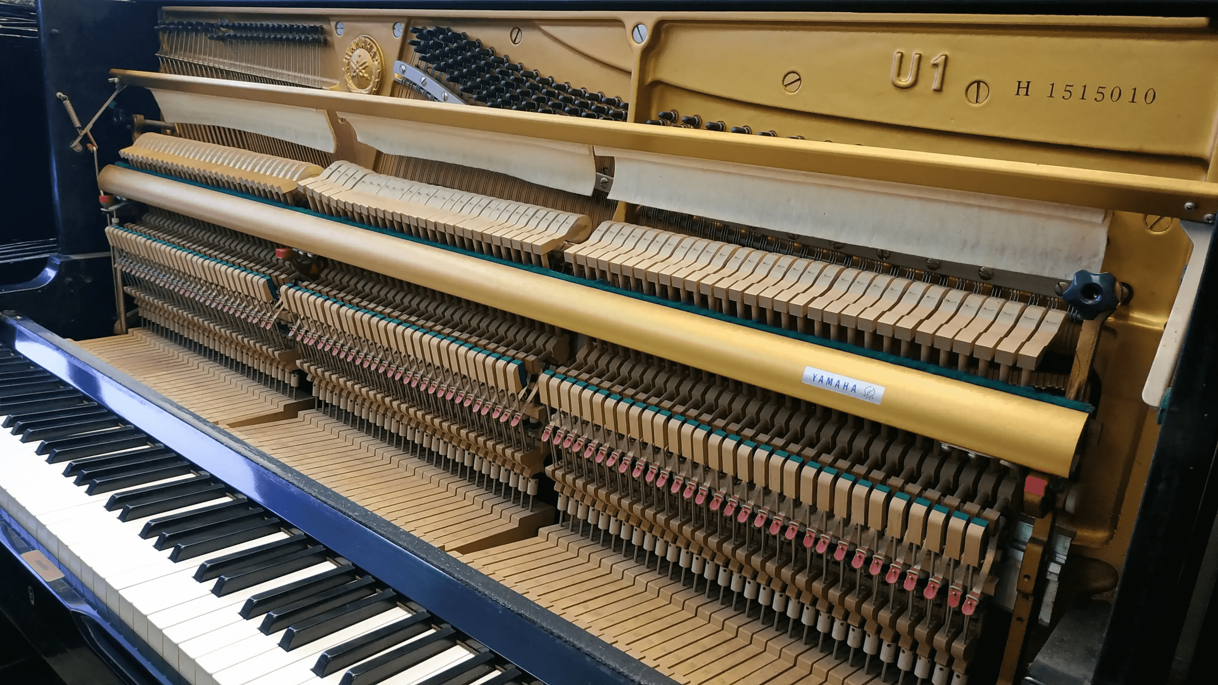 Yamaha U1 Series