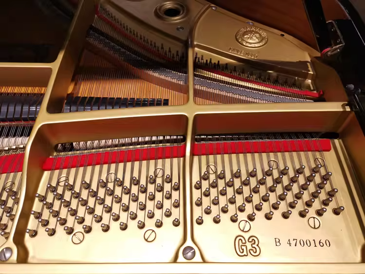 Yamaha G2 Series