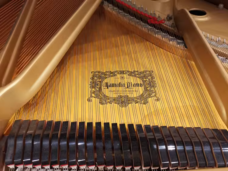 Yamaha C7 Series