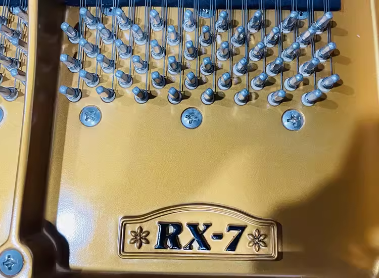 Kawai RX Series