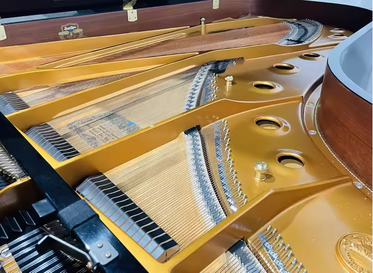 Kawai RX Series