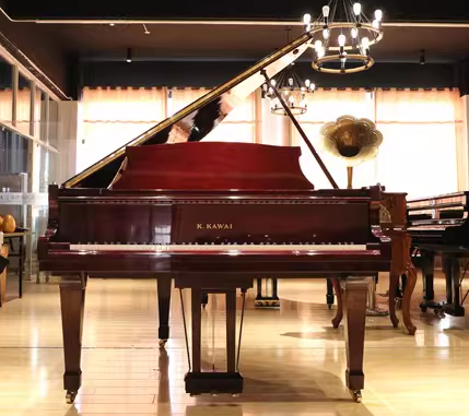 Kawai RX Series
