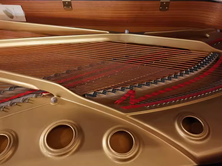 Yamaha C7 Series