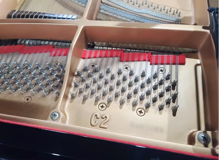 Yamaha C2 Series
