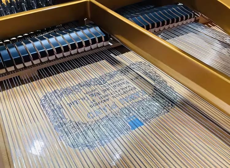 Kawai RX Series