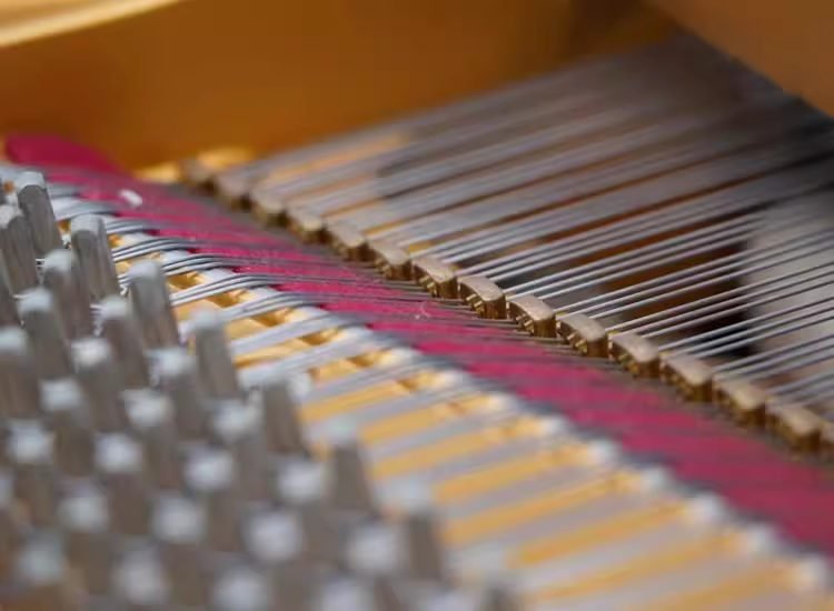 Kawai SK Series
