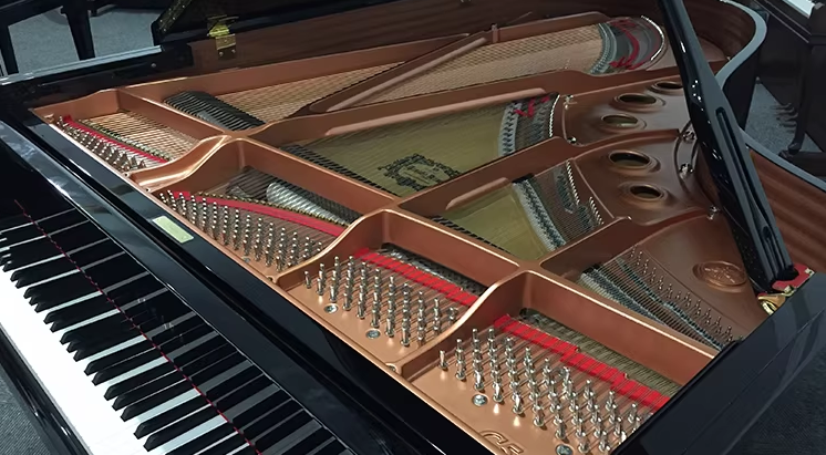 Yamaha C5 Series
