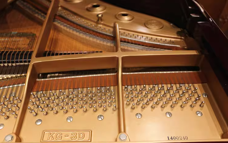 Kawai RX Series
