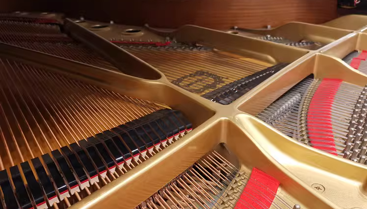 Yamaha C7 Series