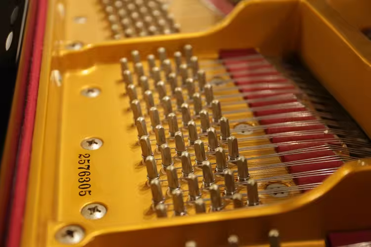 Kawai SK Series
