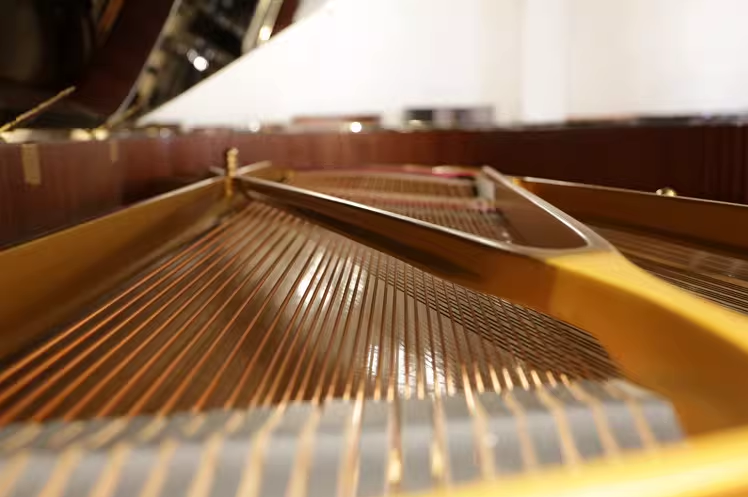 Kawai SK Series