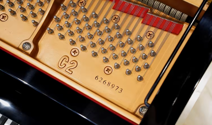 Yamaha C2 Series