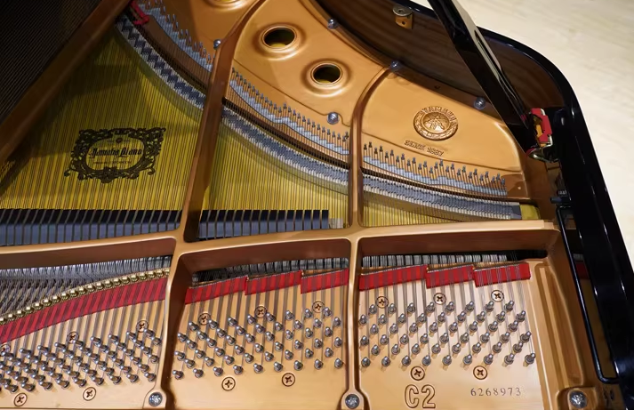 Yamaha C2 Series