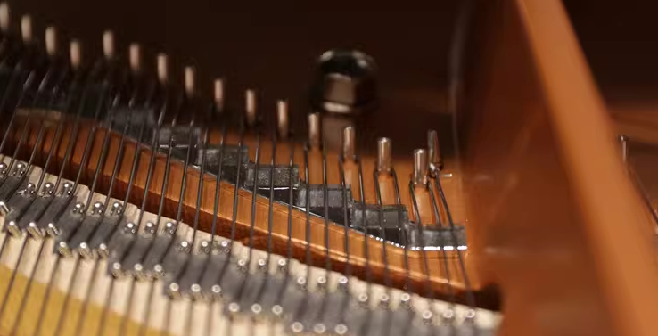 Yamaha C3 Series