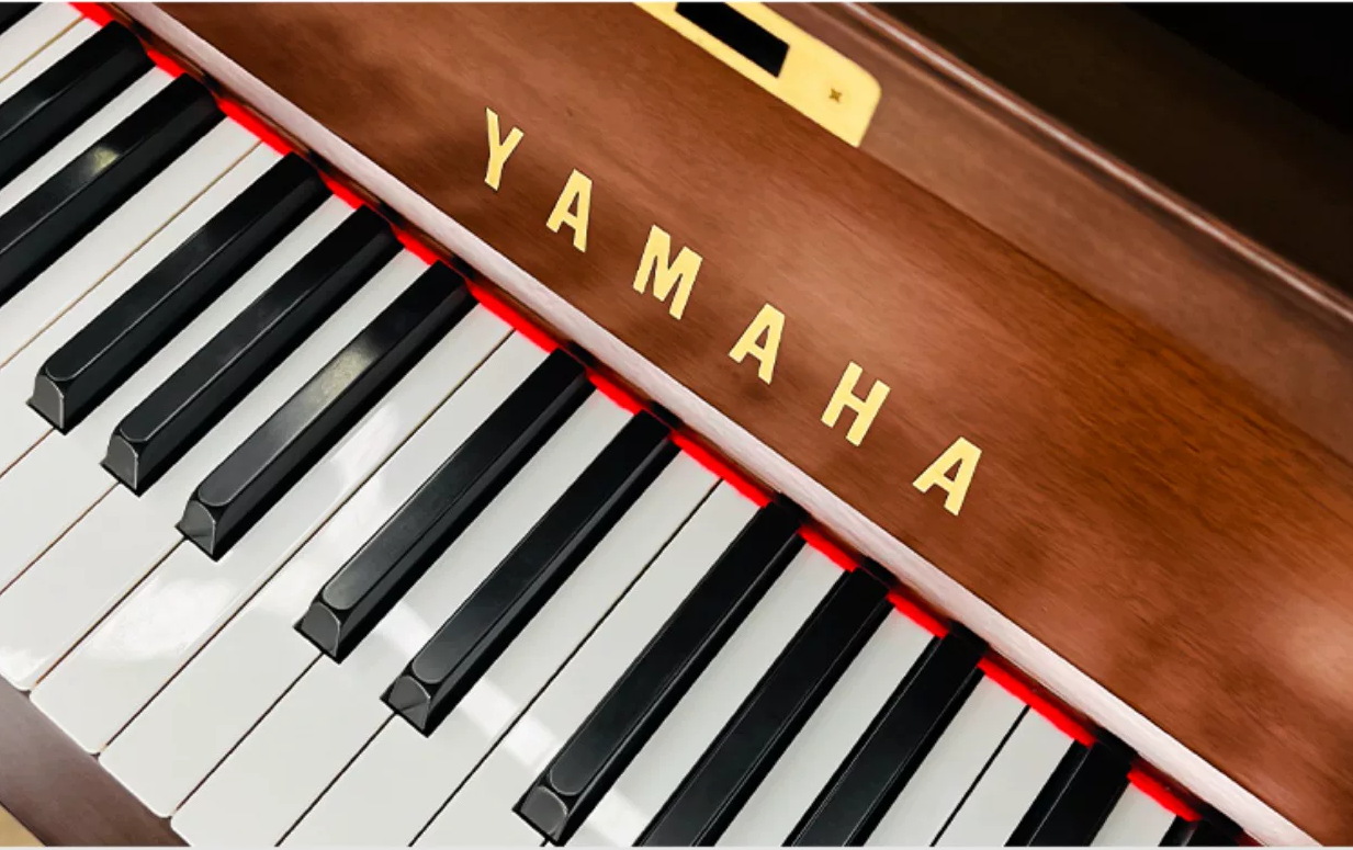 Yamaha W Series