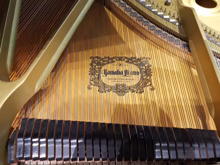 Yamaha G5 Series