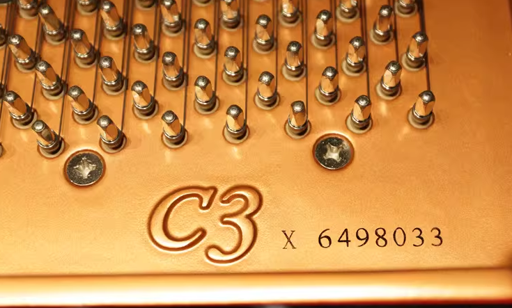 Yamaha C3 Series