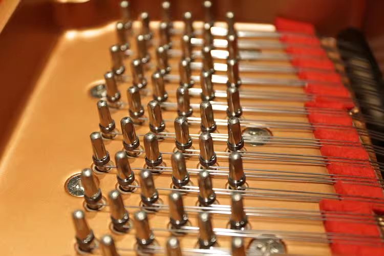 Yamaha C3 Series