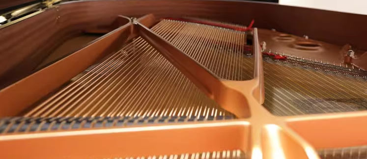 Yamaha C3 Series