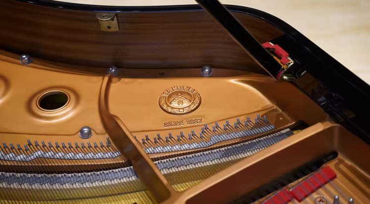 Yamaha C2 Series