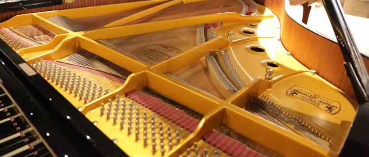 Kawai SK Series