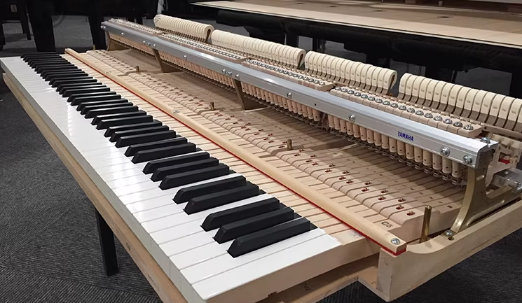 Yamaha C5 Series