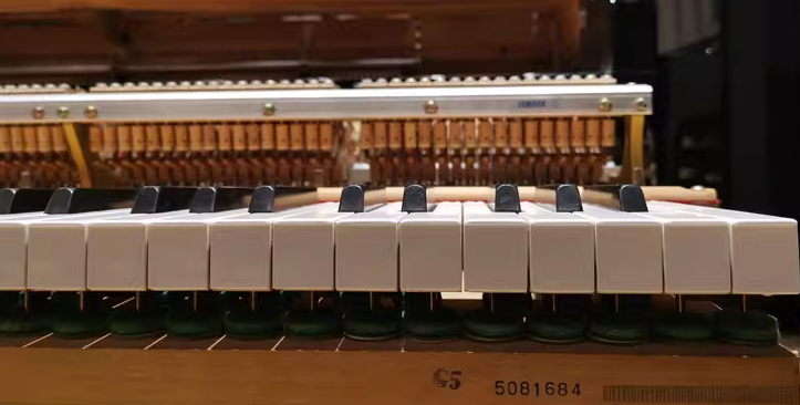 Yamaha G5 Series