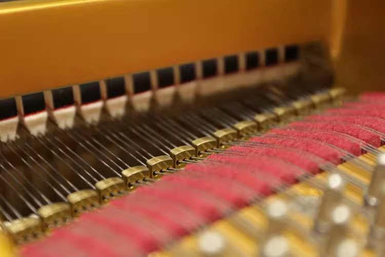 Kawai SK Series