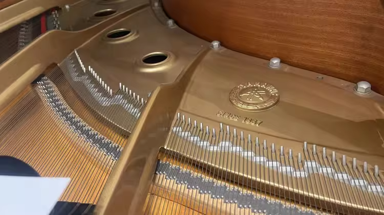 Yamaha C7 Series