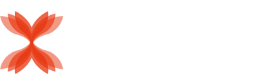 妍姿态官方网站