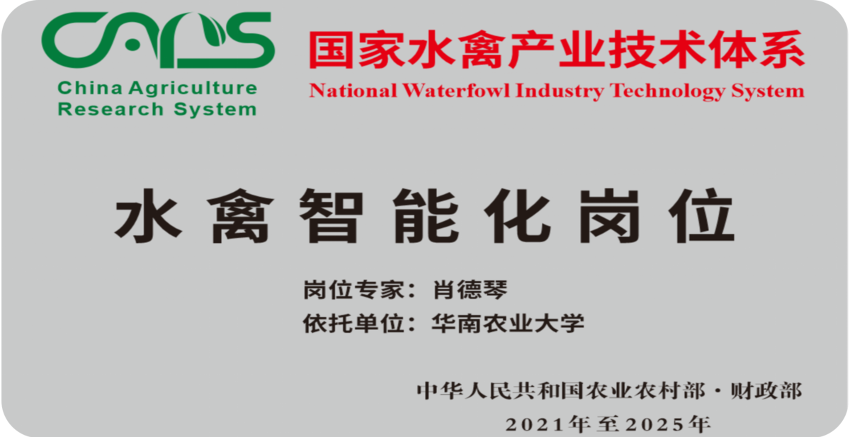 国家水禽岗位科学家