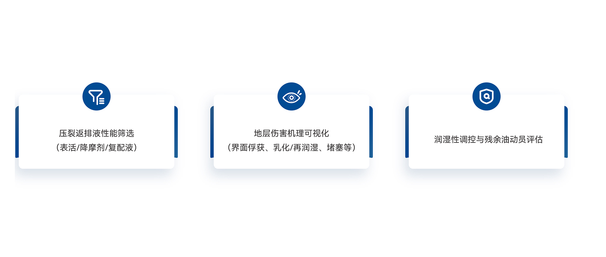 Flowback S100 返排测试芯片