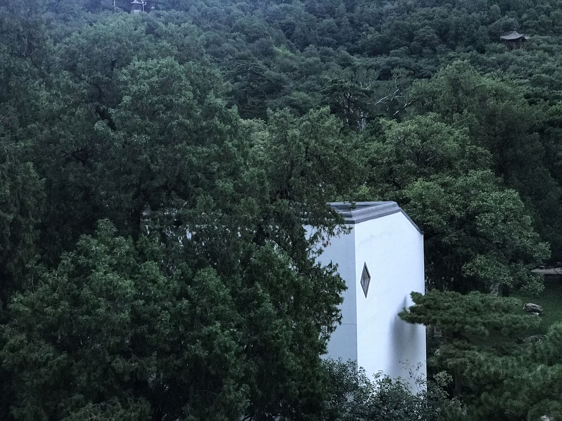 2019年8月 陈坡坡 摄于北京香山