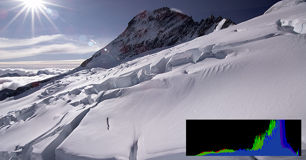 Section image