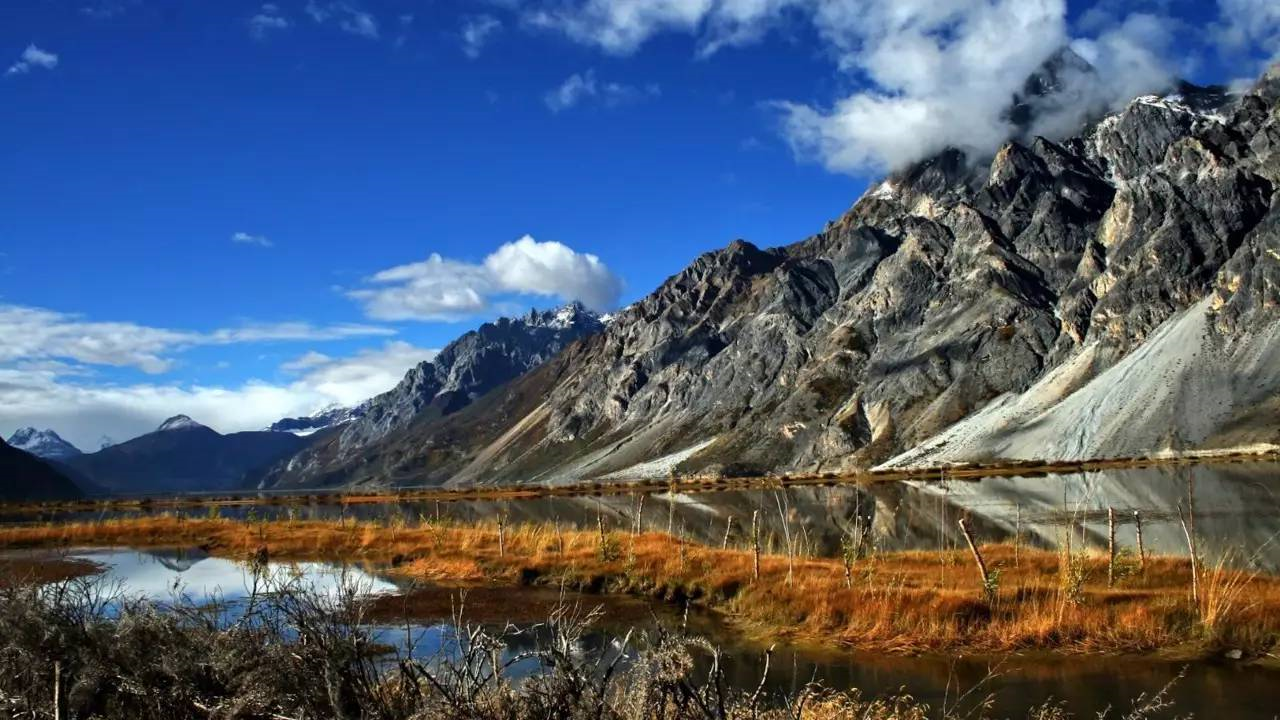Section image