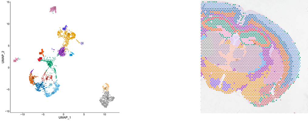 Section image