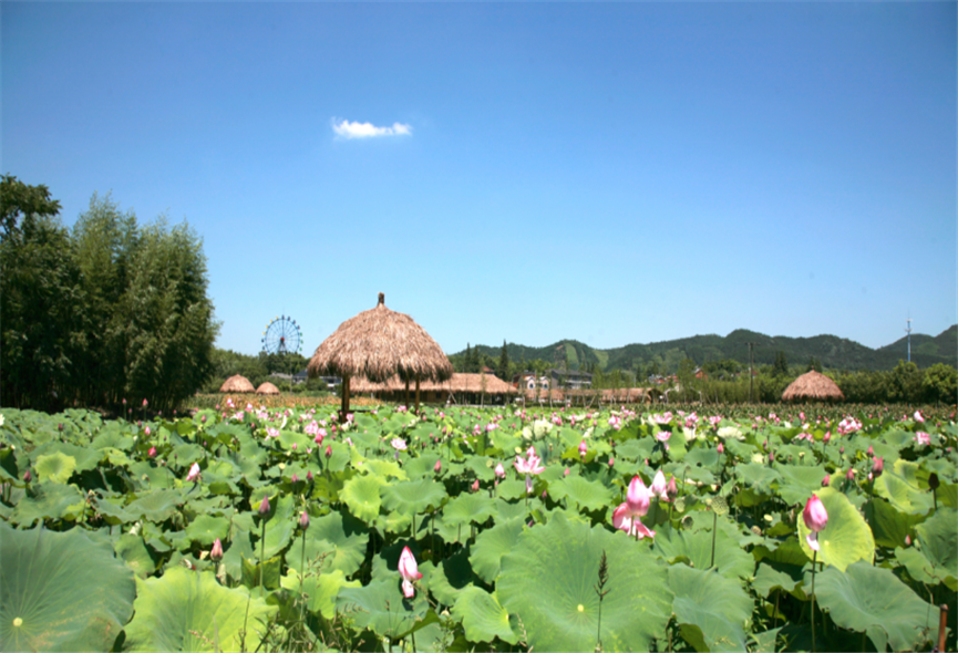 杭州径山小古城阳光农场