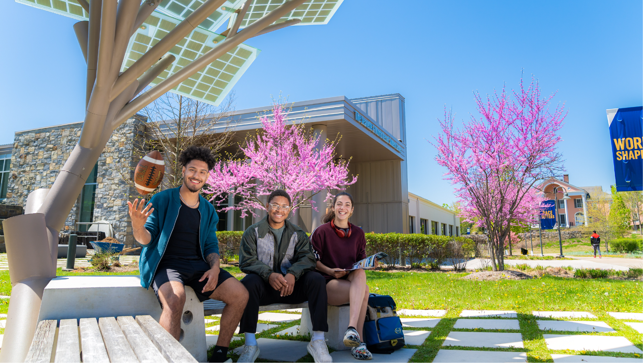 pace univresity, 佩斯大学，美国留学，美国佩斯大学，佩斯大学官网，佩斯大学中文官网