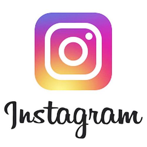 INS