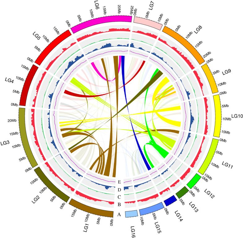 基因課-生物信息培訓