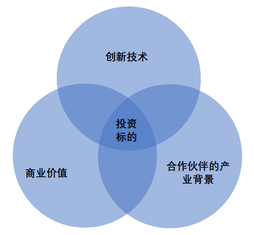 2. 严选早中期项目